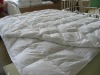 Terry Quilted wateproof mattress protector