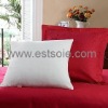 The Most Popular--100% Mulberry Silk pillow/cushion