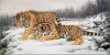 Tigers embroidery tapestry with clearer and sharper images