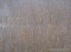 Timber Slurry Fiber Spunlace Non-woven Fabric