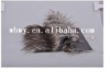 Tip-Dyed fur