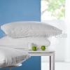 Top Rated 100% Silk Pillow Filled With Mulberry Silk