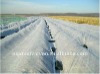 UV protection nonwoven fabric for agriculture