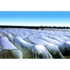 UV treated PP non woven plant cover for agriculture use