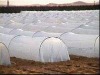 UV- treated weed stop pp non woven for agriculture and gardening