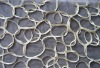 Unique Dribbling mesh fabric embroidery for lady's garment