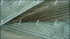 Upholstery Fire/Flame Retardant Fabric/100% polyester Flame Retardant fabric
