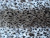 VIVID FAUX FUR