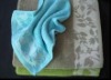 Velour Jacquard Bath Towel with Border