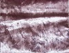 Velvet embossing fabric