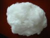 Virgin polyester staple fiber