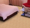 WF-301 Broadloom Living room carpet