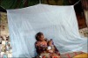 WHOPES insecticides for treatment of mosquito nets for malaria vector control