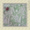 WINNER LACE FABRIC MOTIF