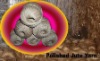 Want to Sell Jute Yarn in ball