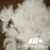 Washed White Duck Feather 3-5CM