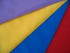 Waterproof Nylon cloth with downproof coating