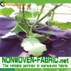 Weed control non woven fabric