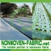 Weed cover nonwoven fabric