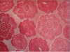 Weft Burnout fabric