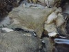 Wet and Dry Salted Sheepskins, Goatskins