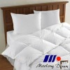 White Duck Down Comforter (Wuzhen)