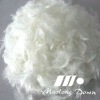 White Duck Feather 4-6CM