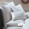 White Duck Feather And Down Pillow