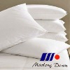 White Duck Feather Pillow