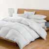 White Duck down duvet