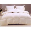 White Goose or Duck Down comforter