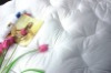 White Goose or Duck Down comforter