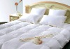 White Goose or Duck Down comforter