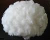 White Polyester Staple Fiber