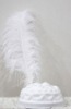 White Raw Ostrich Feather