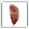 Wholesale! 10pcs Brown Ostrich Feather Fringe