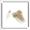 Wholesale! 10pcs Coffee Peacock Feather For Cheap Sale