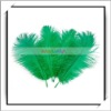 Wholesale! 10pcs Dark Green Colored Ostrich Feathers
