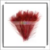 Wholesale! 10pcs Dyed Red Peacock Feathers