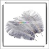 Wholesale! 10pcs Gray Wedding Ostrich Feather Fabric