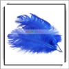 Wholesale! 10pcs Home Decor Blue Ostrich Feathers For Sale