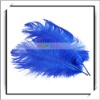 Wholesale! 10pcs Home Decor Blue Ostrich Feathers For Sale