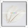 Wholesale! 10pcs Home Decor White Ostrich Feathers