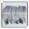 Wholesale! 50pcs Grey Duck Feather