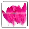 Wholesale! 50pcs Rose Red Duck Feather For Wedding
