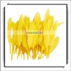 Wholesale! 50pcs Yellow Goose Feathers