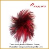 Wholesale Natural & Dyed Chicken Feather