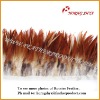 Wholesale Natural & Dyed Coque Saddle Feathers