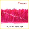Wholesale Natural & Dyed Rooster Saddle Feathers