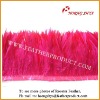 Wholesale Natural & Dyed Rooster Saddle Feathers